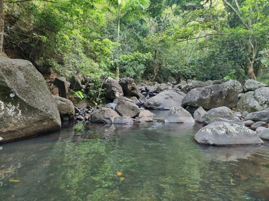 L'Ilet Paradise Pointe-Noire Exteriér fotografie